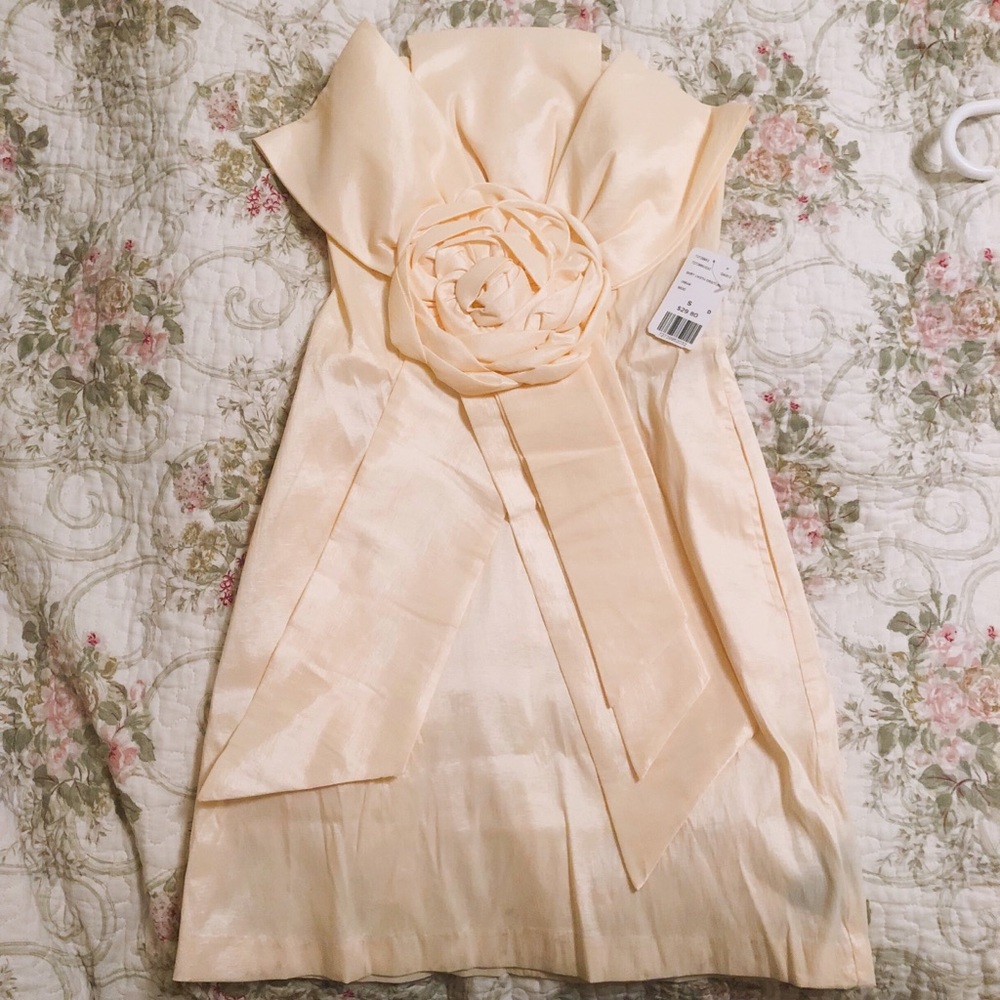 Champagne Peach Strapless Minidress